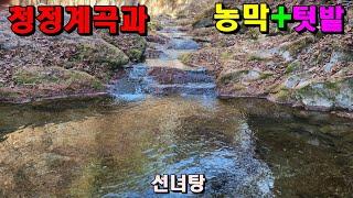 일급수청정계곡과 농막+텃밭/가재가서식하는정선산골땅/정선부동산매매/정선토지매매