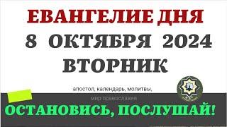 8 ОКТЯБРЯ ВТОРНИК ЕВАНГЕЛИЕ АПОСТОЛ ДНЯ ЦЕРКОВНЫЙ КАЛЕНДАРЬ 2024 #мирправославия