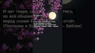 Чтобы узнать больше о Боге и спасении через Иисуса Христа, читай Библию лично