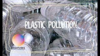 How to stop plastic pollution in 8 simple steps