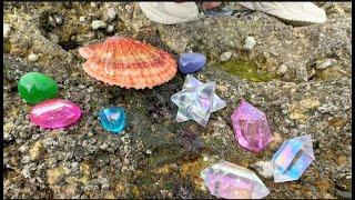 After the severe typhoon, seafood and gemstones were left on the beach