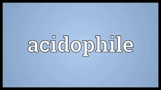 Acidophile Meaning