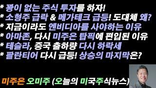 [오늘의 미국주식뉴스] 지금 엔비디아 주식을 사야하는 이유 / 아마존 주식 미주은 탑픽 편입 이유 / 팔란티어 다시 급등! 이번 상승의 마지막은? / 테슬라, 중국 배송 다시 하락