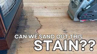 Was it worth ripping up the CARPET?? | Full restoration