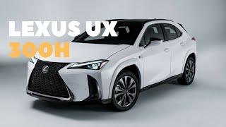 2025 Lexus UX 300H | POPCARS