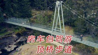 自驾房车旅游，温哥华岛，怕克斯维尔的桥顶步道