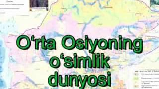 O`rta Osiyo va O`zbekistonning o`simlik dunyosi