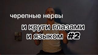 урок лекция - черепные нервы, круги глазами и языком #2