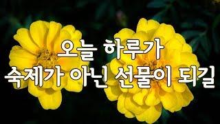 친구, 가족에게 보내는 아침인사 - 행복한 하루 되세요