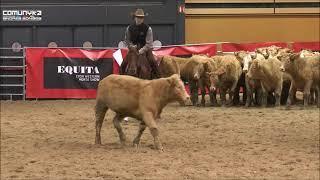 Diamond Pure Smart Open champion futurity 2015