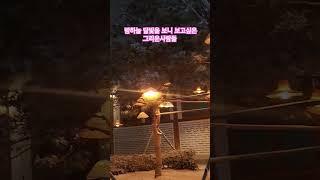 #그리운사람 있어 어젯밤 달빛도 곱더라 #정다운 #시인 #눈꽃 #달빛