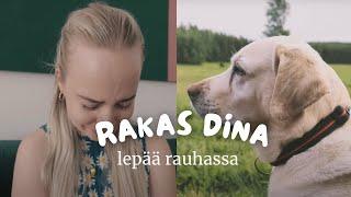 Rakas Dina, lepää rauhassa️