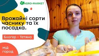 Врожайні сорти часнику та їх посадка  |  Мій город з Тетяною | AGROMARKET (урожайные сорта чеснока)