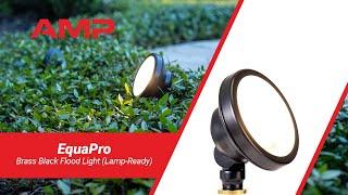 AMP® EquaPro Brass Black Flood Light (Lamp-Ready)