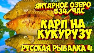 русская рыбалка 4 - Карп озеро Янтарное - рр4 фарм Алексей Майоров russian fishing 4