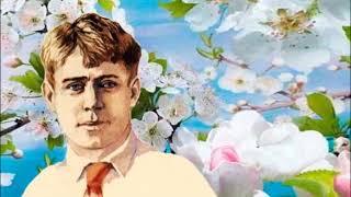 ИГОРЬ ЕРЕМЕЕВ НА СТИХИ ЗИНАИДЫ НИКИФОРОВОЙ. К ЕСЕНИНУ.