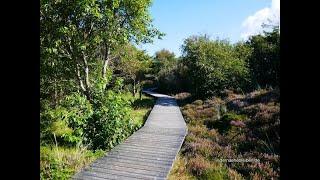 Urlaubs Paradies Amrum(Meine Wanderung zum Kniepsand über den Yachthafen und Wriakhörnsee   HD 720p