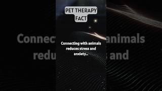 Stress Relief With Animal Companionship. #viral #youtubeshorts #facts