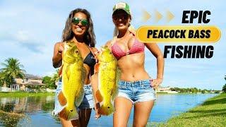 Epic Peacock Bass Fishing in South Florida!