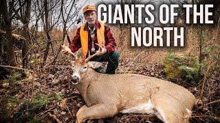 200+ Pound Maine Buck! | Maine Deer Season 2024