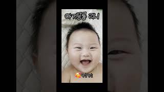 아기공룡 리니 #리니차니 #리니 #아기 #아기영상 #아기목소리 #힐링영상 #힐링 #baby  #shorts