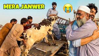 FINALLY APNI QURBANI 2025 KE LIE JANWAR KHAREED LIA| MANDI VLOG| MISHKAT KHAN