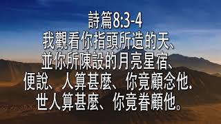 「生命樂音」第五輯 2020-8-1星期六晚十時在羅省AM1430, FM106.3HD3, am1430.net廣播，訪問范靜靜Annie Chow，用音樂細訴她的天路歷程。 faisoft.com