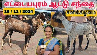 16 / 11 / 2024 / எட்டையபுரம் ஆட்டு சந்தை / சனிக்கிழமை / கொடி ஆடு /  Ettayapuram @tamilvivasayi