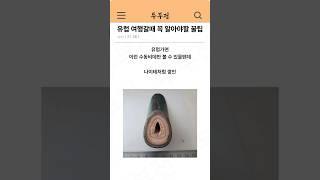 유럽 여행갈 때 꼭 알아야 할 꿀팁