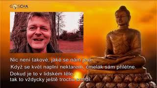 TŘI BUDDHISTICKÉ PRAVDY, které vám ulehčí život...