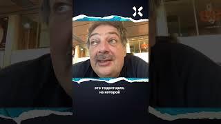 Быков: умолять [как Моргенштерн] чтобы меня пустили домой, я не буду!