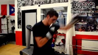 Andrea Finelli - Allenamento alla Boxe Island - Budo International