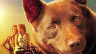 Red Dog soundtrack- Evie let your hair hang down (Stevie Wright)