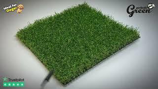 Maximus Evolve Artificial Grass for Gardens - Perfectly Green