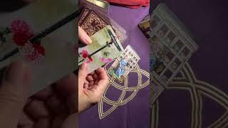 КАК ПРОЙДЕТ ВСТРЕЧА️#таро #тианатаро #tarot