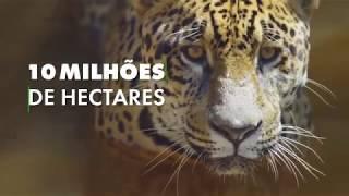 Cuidando do nosso patrimônio - O valor das unidades de conservação para a sociedade brasileira