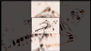شب اول قبر چه اتفاف می افتد؟