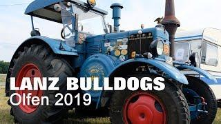 Lanz Bulldog Tractors At Tractor Meeting Olfen | No-Frills