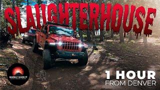 The Trail For Everyone Slaughterhouse Gulch: Jeep Gladiator and Ford Bronco! [EP11] Bailey, Colorado