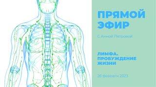 Кундалини йога. Лимфа. Пробуждение жизни. Практическое занятие с Анной Петровой