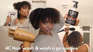 2025 DETAILED 4C/4B HAIR WASH ROUTINE & WASH N GO  Beginner friendly. (first time steaming)