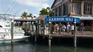 Trapon Feeding in Key West - Part 1