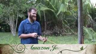 Jungle Bow shooting contest