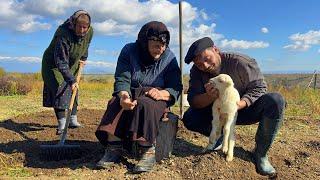 Finding Peace in the Caucasus Mountains: A Simple Rural Lifestyle