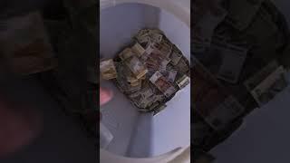 Всё в копилку коплю на полёт в Космос#хобби #копилка #деньги #монеты #мелочь #мечта #коплю
