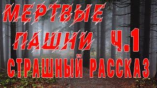 СТУДЕНТЫ В ОПАСНОСТИ, чуть не ПОГИБЛИ.. - часть 1 - Мистика - Зомби - Страшные истории на ночь