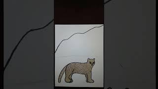 Time lapse/ Stop motion of me drawing a Snow leopard. #shorts #art