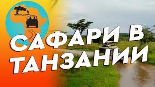Сафари в Африке. Национальные парки Танзании 