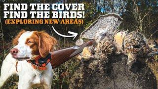 Ruffed Grouse Hunting in NEW Areas! (What to Look For)