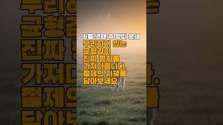 [골목점집 운세]  6월 넷째 주, 양띠 운세 “조화로운 마음이, 당신의 하루를 부드럽게 만듭니다.” #띠별운세  #오늘의운세  #월간운세  #주간운세  #타로운세